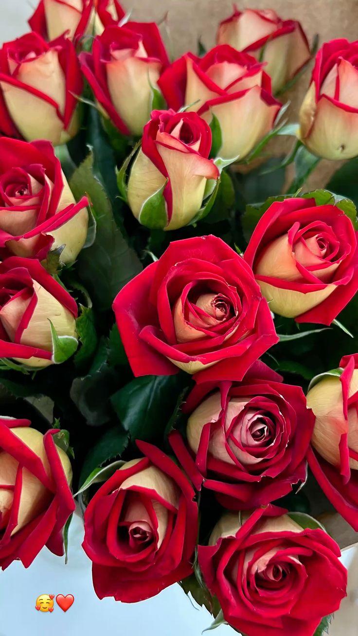 Whispers of Dawn Serenade Bouquet