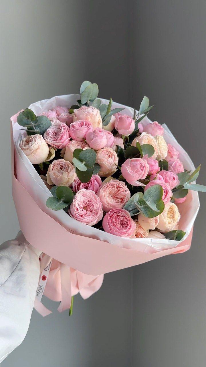 Gentle Caress of Springtime Blooms