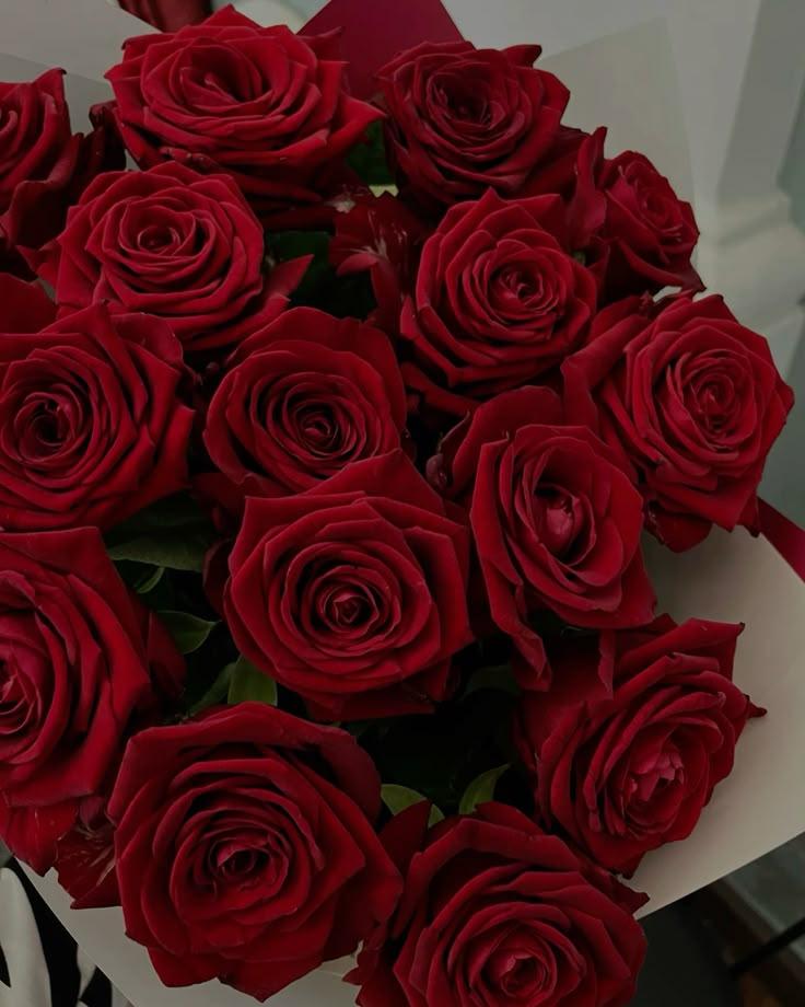 Eternal Embrace of Scarlet Roses